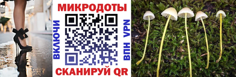 Галлюциногенные грибы GOLDEN TEACHER  Покров 