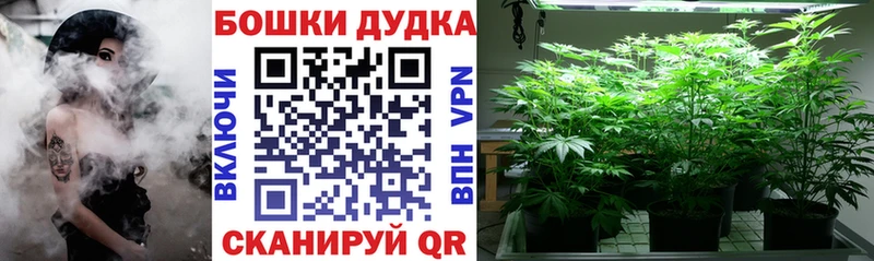 Каннабис план  hydra онион  Покров 